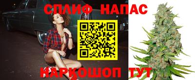 гашик Краснодар