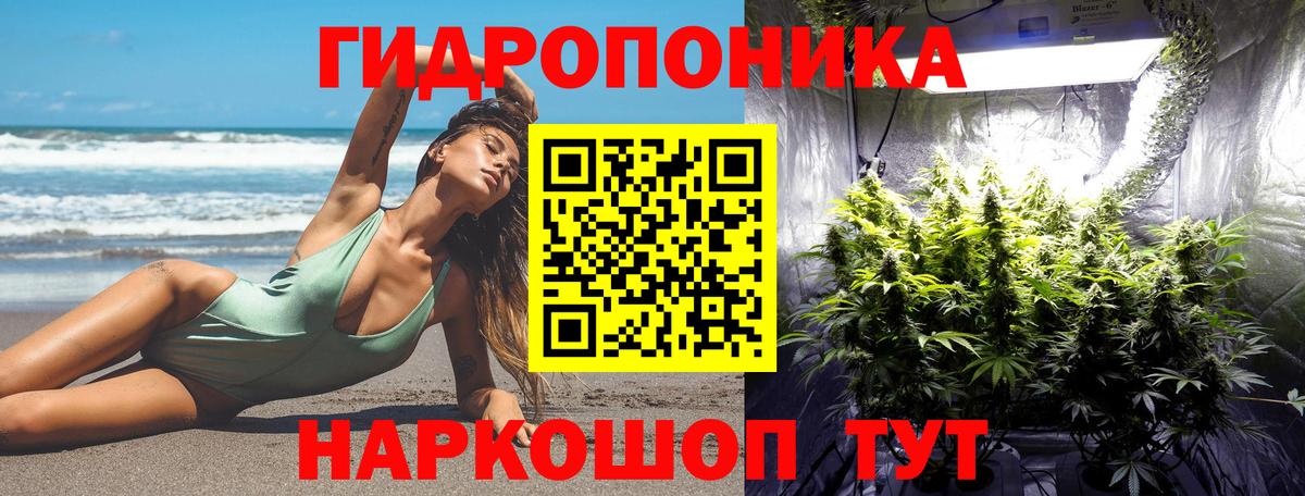 Ефремов  МАРИХУАНА тримм  Вход с VPN  Марихуана планчик  Канабис сатива 